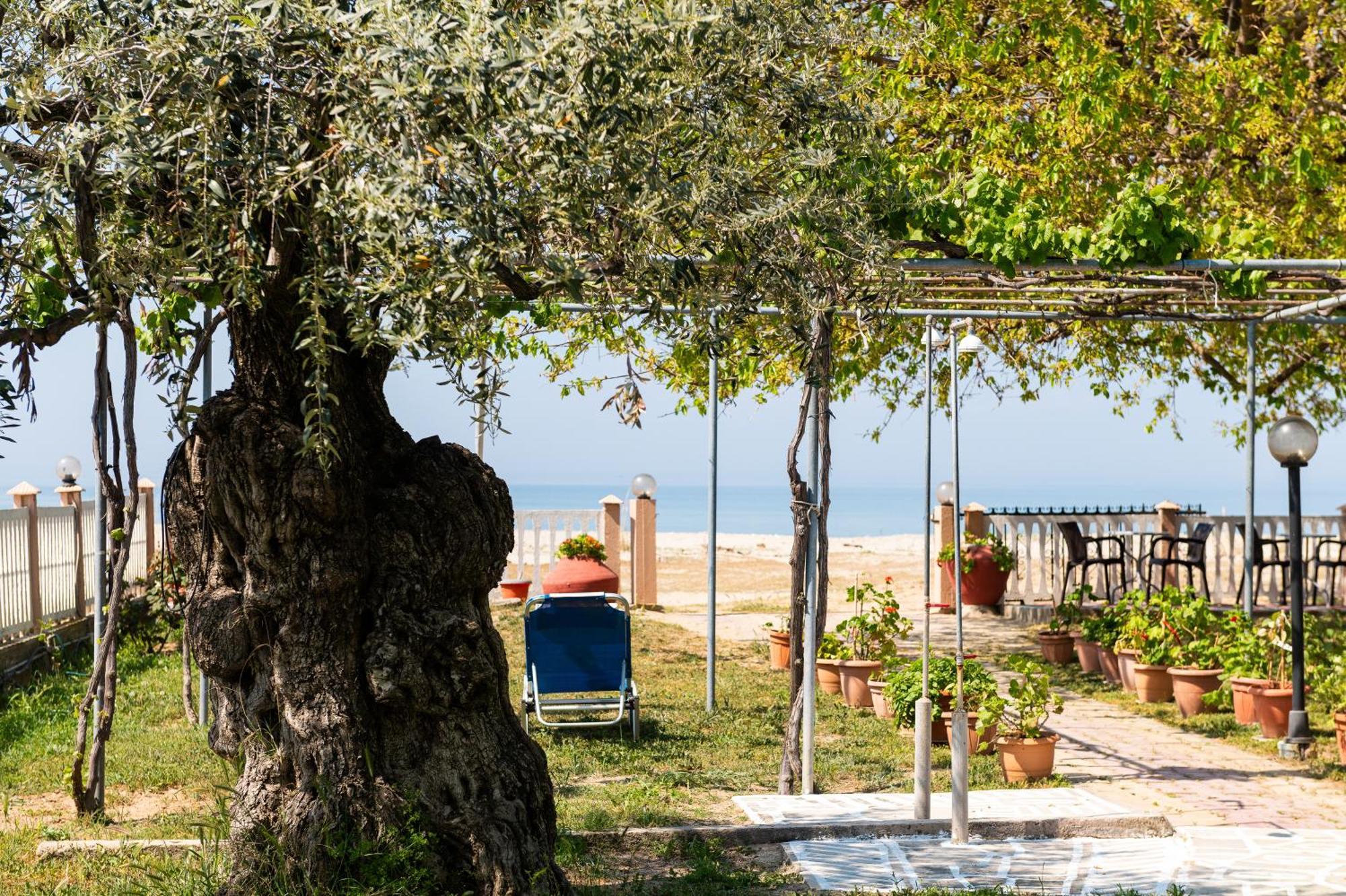 بوتوس Opalium Beach Front Suites المظهر الخارجي الصورة
